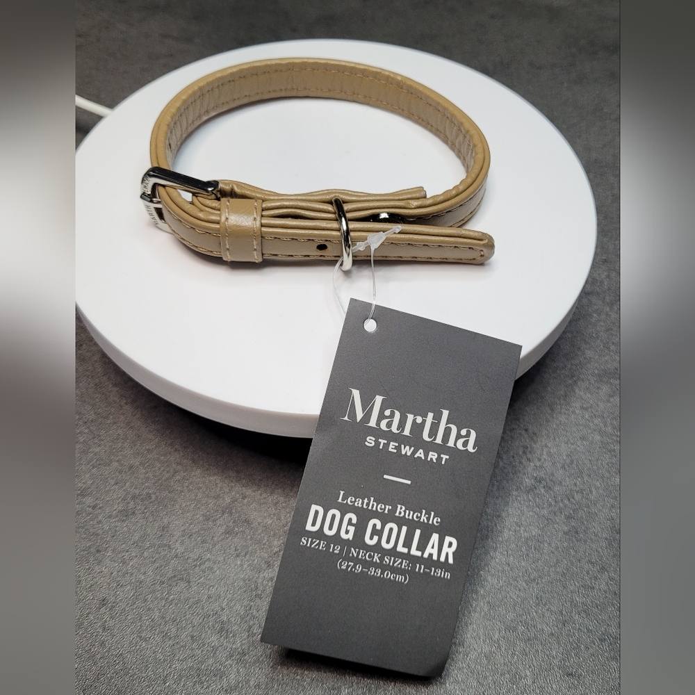 Martha Stewart Faux Leather Buckle Dog Collar X-Small